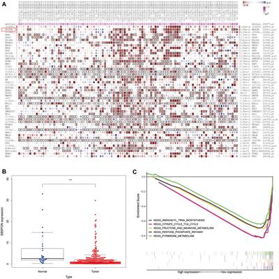 A Novel Glycolysis-Related Long Noncoding RNA Signature for Predicting Overall Survival in Gastric Cancer